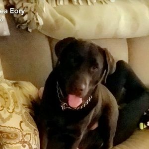 Meet your Posher, Rebecca